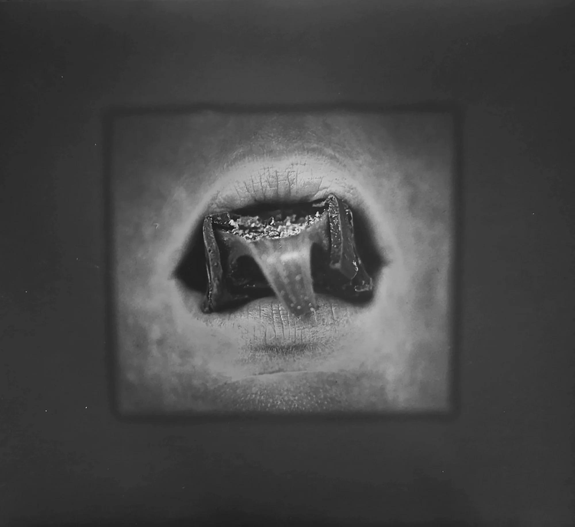 V — Ann Mandelbaum